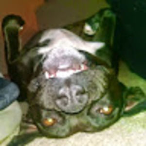 Meet your Posher, Mark